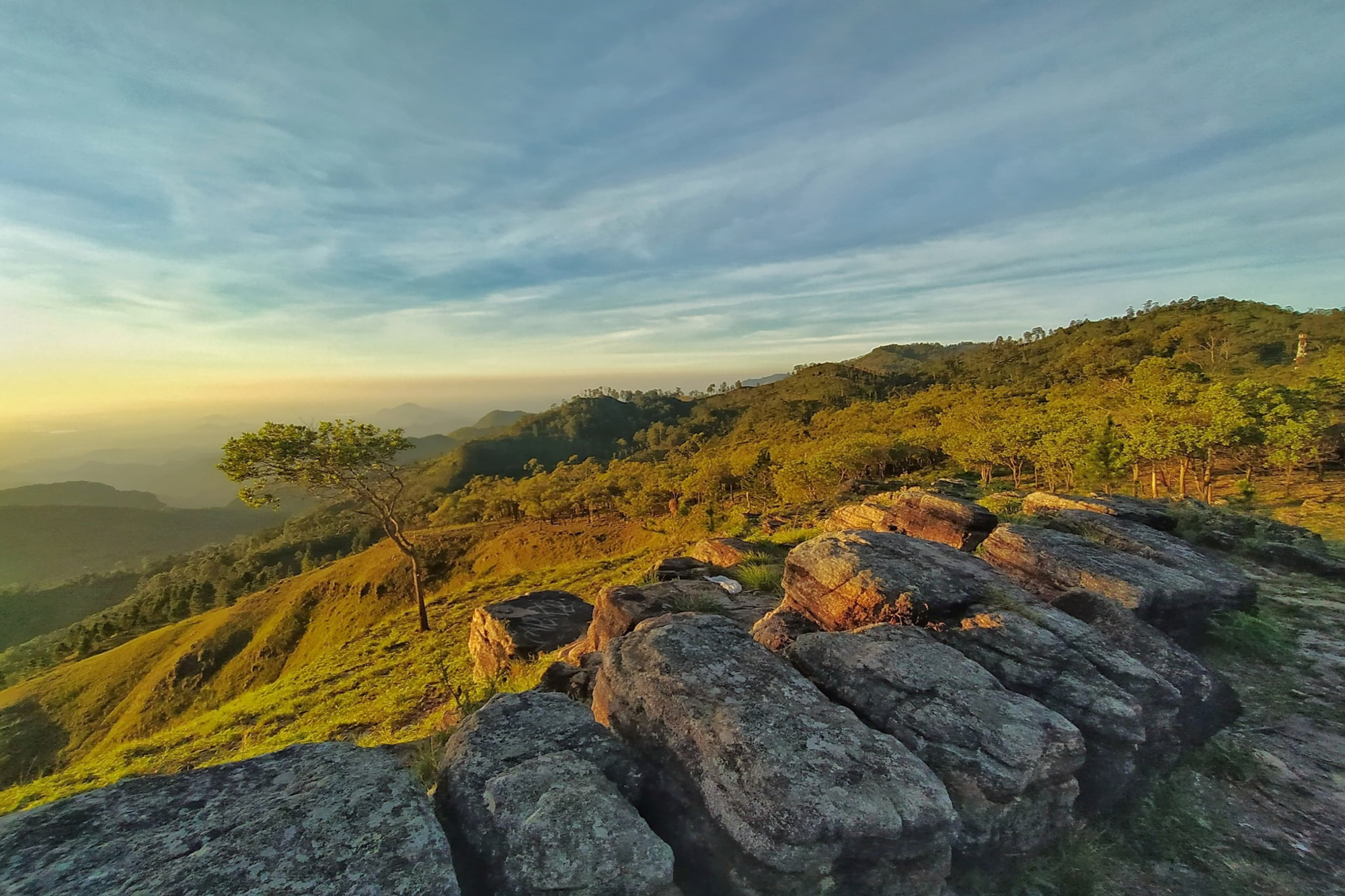 Standard Post with Image