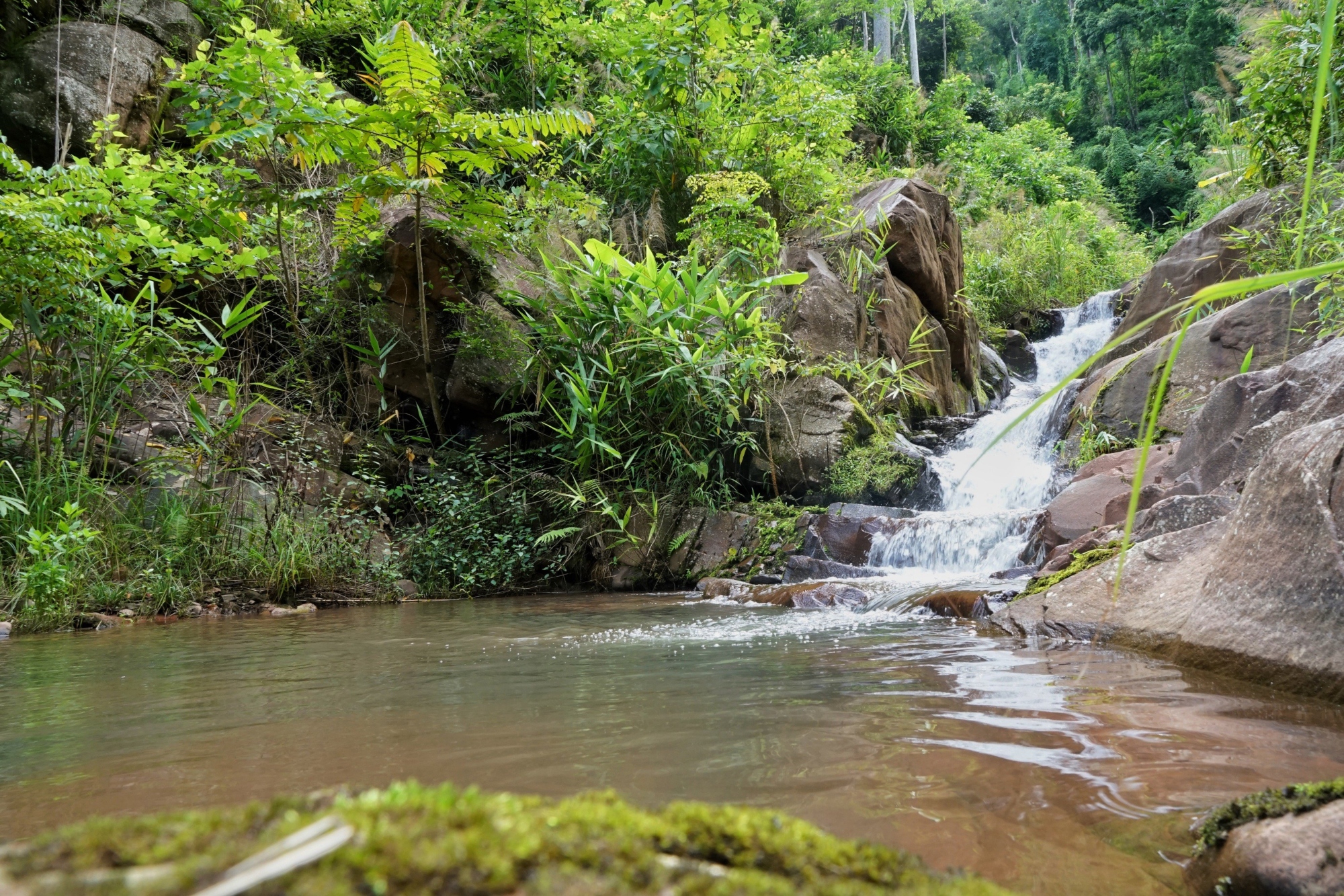 Standard Post with Image